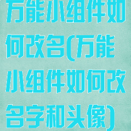 万能小组件如何改名(万能小组件如何改名字和头像)