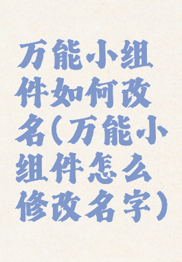 万能小组件如何改名(万能小组件怎么修改名字)