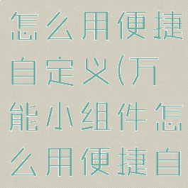 万能小组件怎么用便捷自定义(万能小组件怎么用便捷自定义软件)