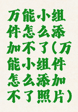 万能小组件怎么添加不了(万能小组件怎么添加不了照片)