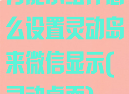 万能小组件怎么设置灵动岛来微信显示(灵动桌面)