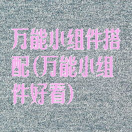 万能小组件搭配(万能小组件好看)