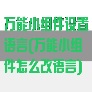 万能小组件设置语言(万能小组件怎么改语言)