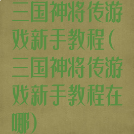 三国神将传游戏新手教程(三国神将传游戏新手教程在哪)