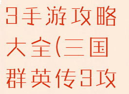 三国群英纪3手游攻略大全(三国群英传3攻略大全)