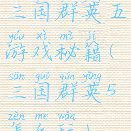 三国群英五游戏秘籍(三国群英5怎么玩)