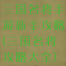 三国名将手游新手攻略(三国名将攻略大全)