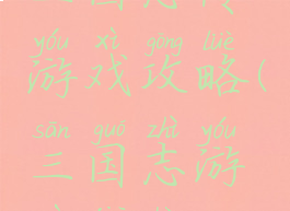 三国志传游戏攻略(三国志游戏介绍)