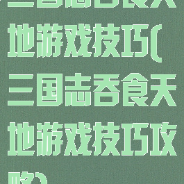 三国志吞食天地游戏技巧(三国志吞食天地游戏技巧攻略)