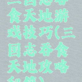 三国志吞食天地游戏技巧(三国志吞食天地攻略秘籍)