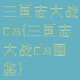 三国志大战ds(三国志大战ds图鉴)