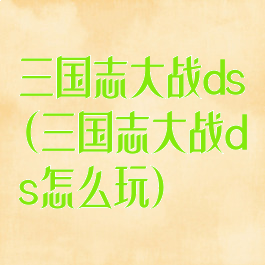三国志大战ds(三国志大战ds怎么玩)