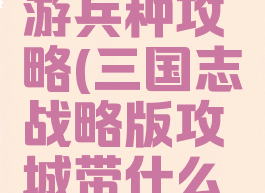 三国志手游兵种攻略(三国志战略版攻城带什么兵种)