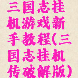 三国志挂机游戏新手教程(三国志挂机传破解版)