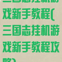 三国志挂机游戏新手教程(三国志挂机游戏新手教程攻略)