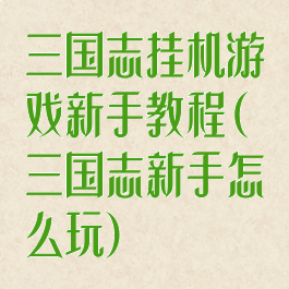 三国志挂机游戏新手教程(三国志新手怎么玩)
