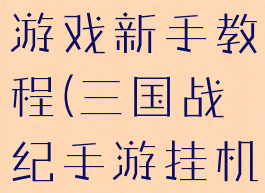 三国志挂机游戏新手教程(三国战纪手游挂机脚本)