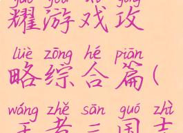 三国志荣耀游戏攻略综合篇(王者三国志游戏)