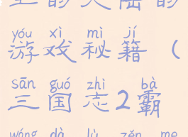 三国志2霸王的大陆的游戏秘籍(三国志2霸王大陆怎么玩)