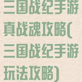 三国战纪手游真战魂攻略(三国战纪手游玩法攻略)