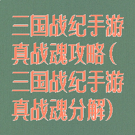 三国战纪手游真战魂攻略(三国战纪手游真战魂分解)