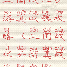 三国战纪手游真战魂攻略(三国战纪手游真战魂经验表)