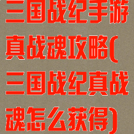 三国战纪手游真战魂攻略(三国战纪真战魂怎么获得)