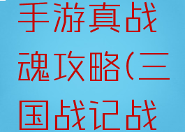 三国战纪手游真战魂攻略(三国战记战魂)