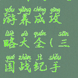 三国战纪手游养成攻略大全(三国战纪手机版攻略)