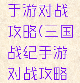 三国战纪手游对战攻略(三国战纪手游对战攻略图)