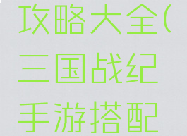 三国战纪手游搭配攻略大全(三国战纪手游搭配攻略大全图)