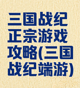 三国战纪正宗游戏攻略(三国战纪端游)