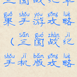 三国战纪苹果手游攻略(三国战纪手机版攻略)