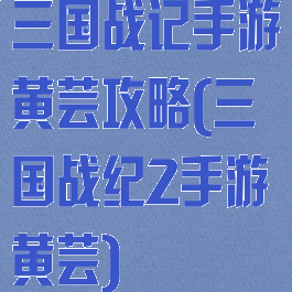 三国战记手游黄芸攻略(三国战纪2手游黄芸)