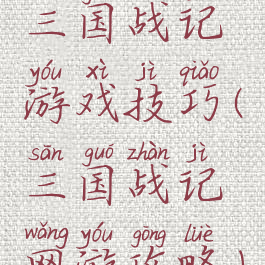三国战记游戏技巧(三国战记网游攻略)