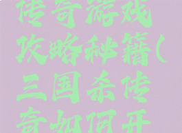 三国挂机传奇游戏攻略秘籍(三国杀传奇如何开挂)