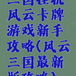 三国挂机风云卡牌游戏新手攻略(风云三国最新版攻略)