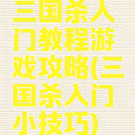 三国杀入门教程游戏攻略(三国杀入门小技巧)