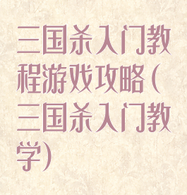 三国杀入门教程游戏攻略(三国杀入门教学)