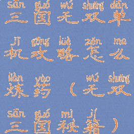 三国无双单机攻略怎么炼药(无双三国秘籍)