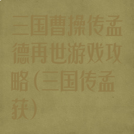 三国曹操传孟德再世游戏攻略(三国传孟获)