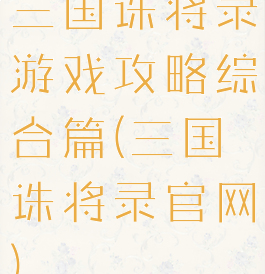 三国诛将录游戏攻略综合篇(三国诛将录官网)