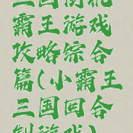 三国街机霸王游戏攻略综合篇(小霸王三国回合制游戏)