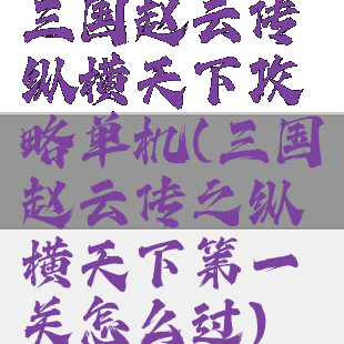 三国赵云传纵横天下攻略单机(三国赵云传之纵横天下第一关怎么过)