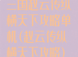 三国赵云传纵横天下攻略单机(赵云传纵横天下攻略)