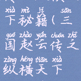 三国赵云传之纵横天下秘籍(三国赵云传之纵横天下秘籍不能用)