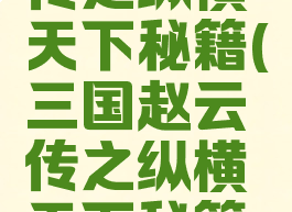 三国赵云传之纵横天下秘籍(三国赵云传之纵横天下秘籍怎么用)