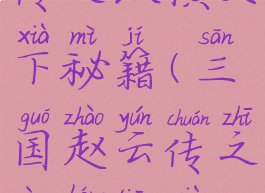 三国赵云传之纵横天下秘籍(三国赵云传之纵横天下秘籍补丁)