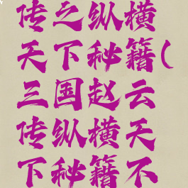 三国赵云传之纵横天下秘籍(三国赵云传纵横天下秘籍不能用)