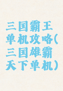 三国霸王单机攻略(三国雄霸天下单机)